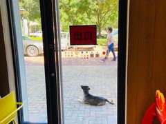 -麦当劳(大厂新城店)