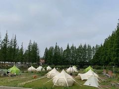 -前小桔亲子创意农场·草莓采摘·露营烧烤