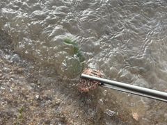-海驴岛(荣成市)