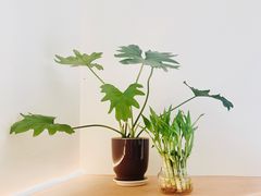 -fishtank鱼缸咖啡(三山街店)