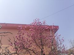 -北疆饭店(金狮广场店)