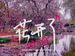 -石家庄市植物园