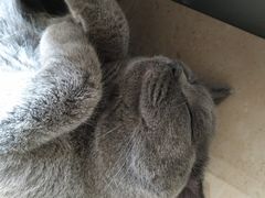 -張飛牛肉(锦里店)