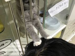 -1013 PET SHOP 宠物商店(近铁城市广场店)