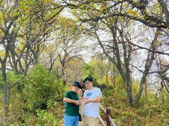 -白草畔自然风景区