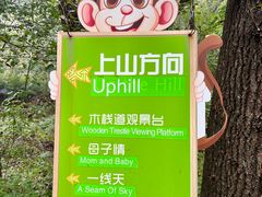 -大岭沟猕猴桃谷风景区
