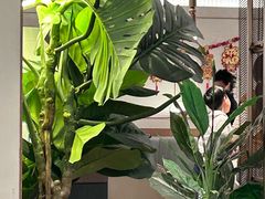 -必胜客(城西银泰店)