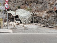 -大渡河峡谷国家地质公园