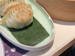 -点都德·毕德寮