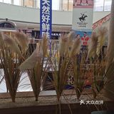 友记卜卜贝，好吃到冲冲冲！！！！