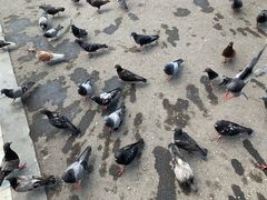 -宪法广场