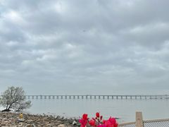 -宝安西湾红树林湿地公园