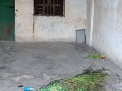 -攀枝花公园