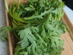 茼蒿-烹然四季椰子鸡火锅(团结湖总店)