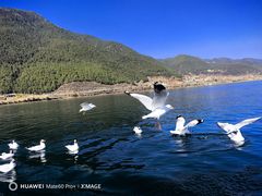 -丽江泸沽湖景区