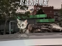 -洛阳市隋唐城遗址植物园