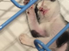 -猫的天空之城概念书店(杭州南宋御街店)