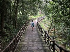 -雁荡山大龙湫景区