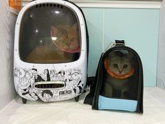 -纳吉亚猫专科动物医院·北北分院
