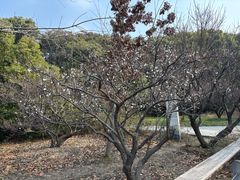 -昆山城市生态森林公园