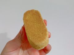 凤梨酥-詹记桃酥(百盛店)