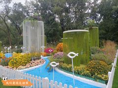 -上海共青森林公园