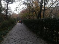 -峙山公园