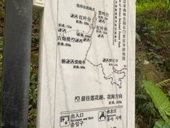 -广州市石门国家森林公园