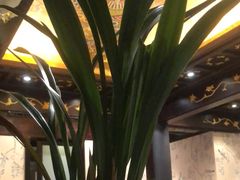 -五岳宫·私房菜
