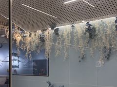 -Skay•射箭馆•弓箭娱乐(体育西店)