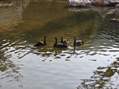 -西昌邛海宾馆