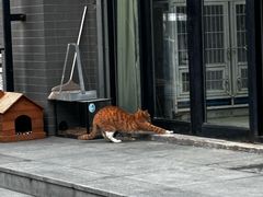 -亮亮面馆(经六路店)