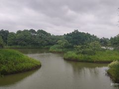 -梁鸿国家湿地公园