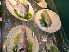 -南美元生态大酒店(海珠店)