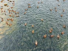 -深圳湾公园(南山区)