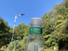 -火炉山森林公园