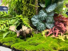 -Sony Store 索尼(来福士店)