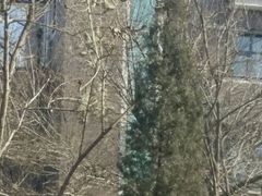 -岳阳道小学(大理道校区)