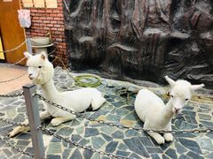 -上海大自然野生昆虫馆(东方明珠·爬宠昆虫探索中心)