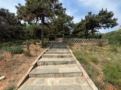 -北京西山国家森林公园