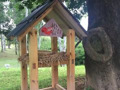 -福建鲤鱼洲酒店