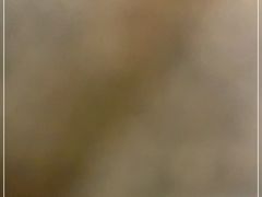 -博望坡酒楼(漕溪路店)