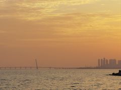 -红树湾(地铁站)