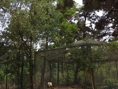 -日照海滨国家森林公园