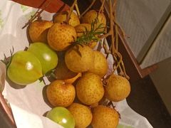 -季季山·云南野生菌火锅(上海首店)