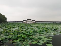 -福满楼(锦溪古镇店)