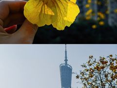 -洲头咀公园