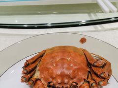 -金枝玉叶上海人家食府(三里河店)