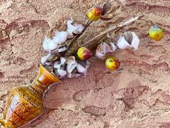 -新疆国际大巴扎