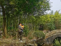 -汇龙潭
